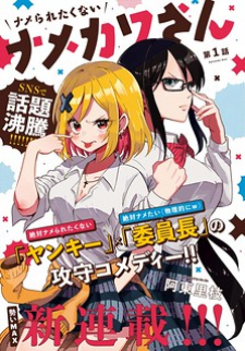 Namekawa-San Won't Be Mocked