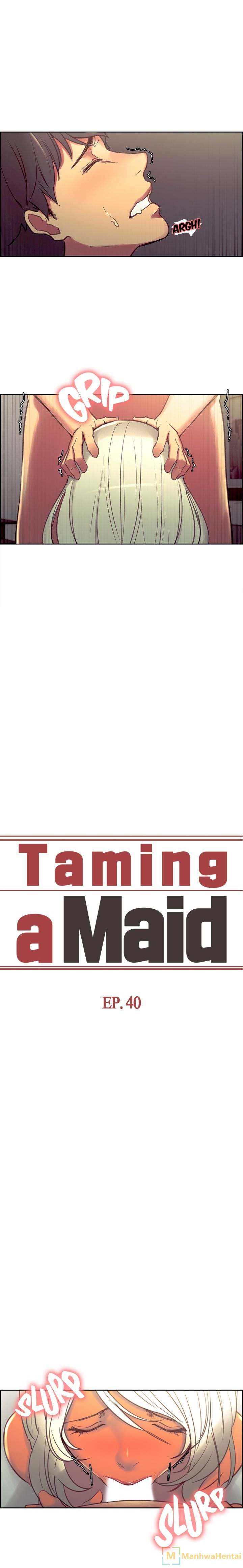 Taming a Maid Chapter 40 - HolyManga.Net