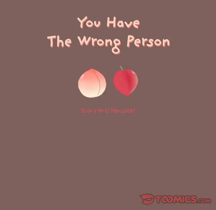 You Have The Wrong Person Chapter 17 - HolyManga.Net