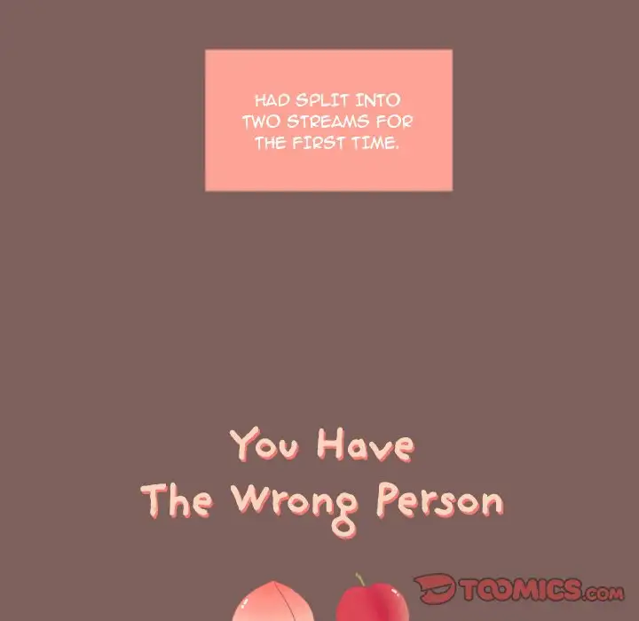 You Have The Wrong Person Chapter 19 - HolyManga.Net