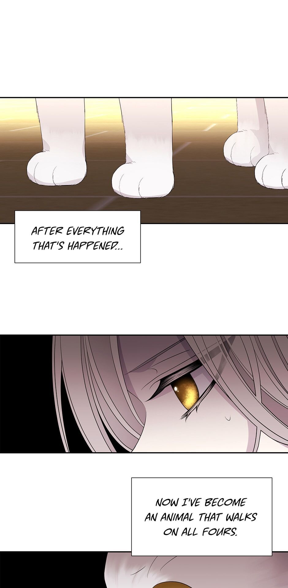 Charlotte Has Five Disciples Chapter 60 - HolyManga.Net