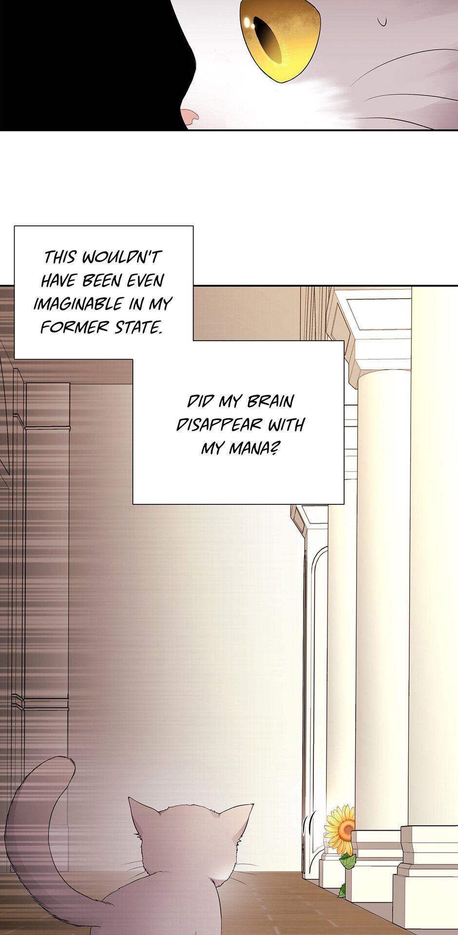 Charlotte Has Five Disciples Chapter 60 - HolyManga.Net