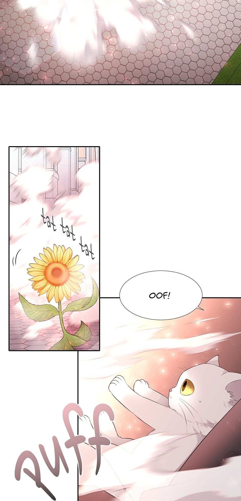 Charlotte Has Five Disciples Chapter 62 - HolyManga.Net