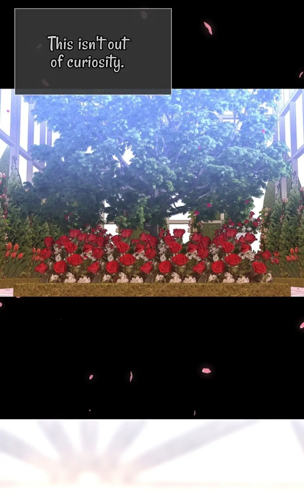 Charlotte Has Five Disciples Chapter 137 - HolyManga.Net