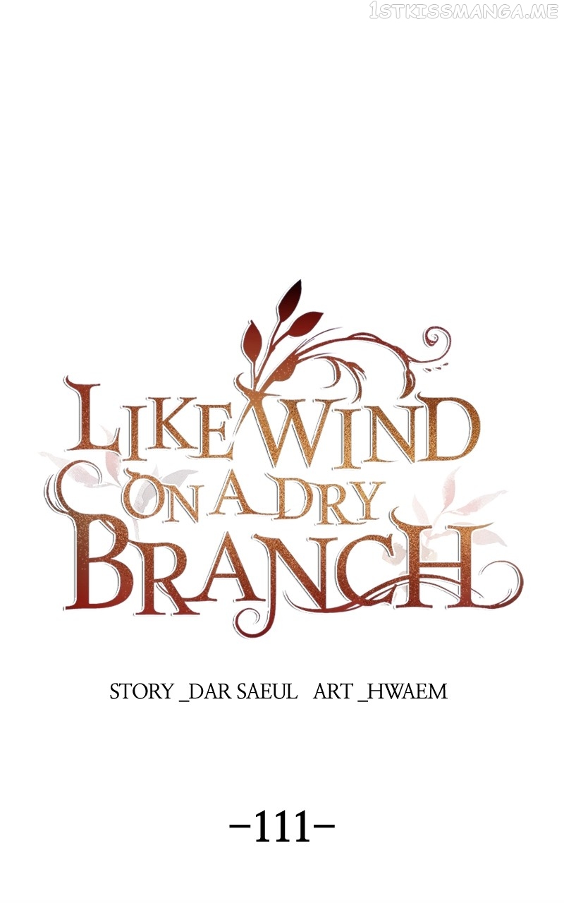 Like A Wind On A Dry Branch Chapter 111 - HolyManga.Net