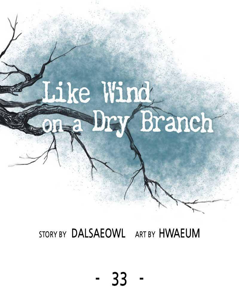 Like A Wind On A Dry Branch Chapter 33 - HolyManga.Net