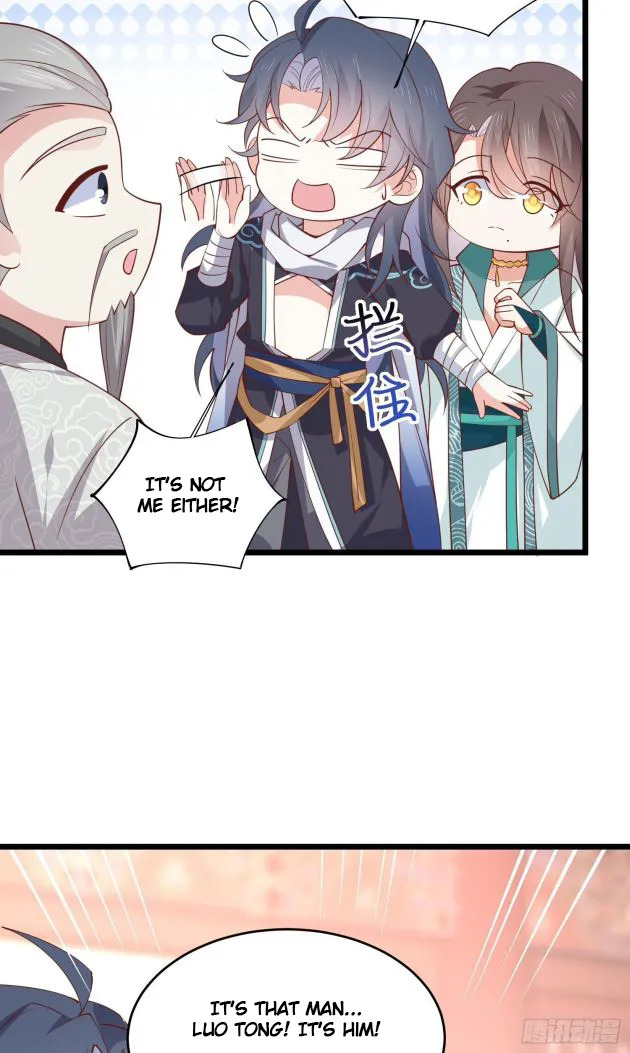 Pupillary Master Chapter 242 - HolyManga.Net
