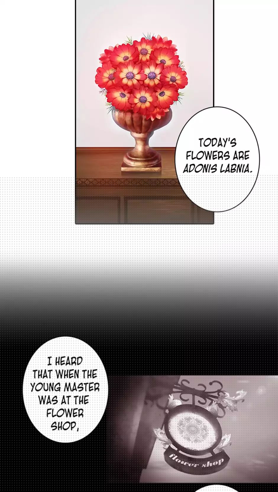 Reminiscence Adonis Chapter 1 - HolyManga.Net