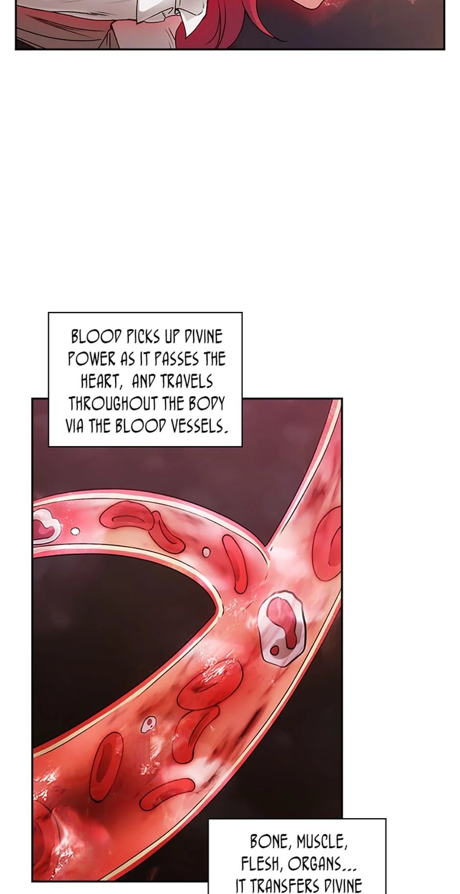 Reminiscence Adonis Chapter 131 - HolyManga.Net
