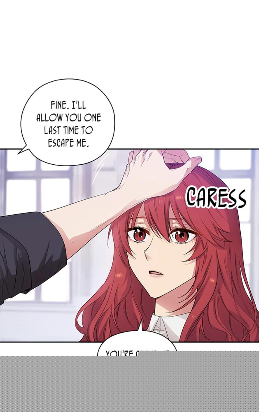Reminiscence Adonis Chapter 188 - HolyManga.Net