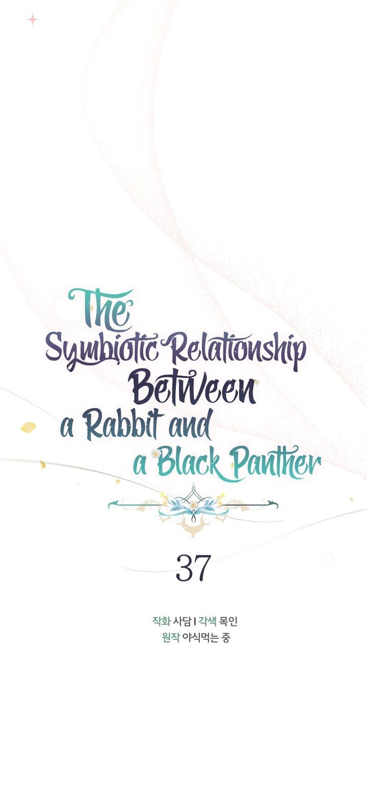 The Symbiotic Relationship Between the Rabbit and the Black Panther Chapter 37 - HolyManga.Net