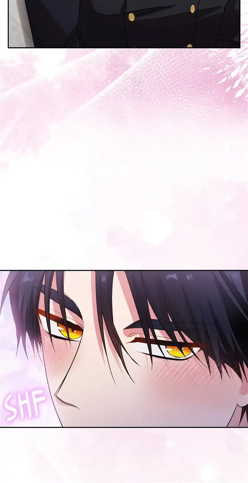 Reminiscence Adonis Chapter 246 - HolyManga.Net
