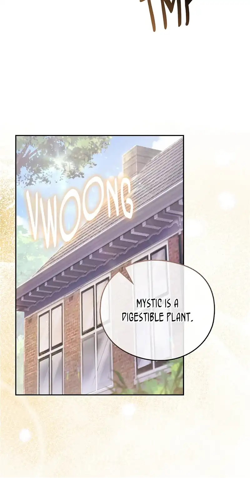 Reminiscence Adonis Chapter 251 - HolyManga.Net