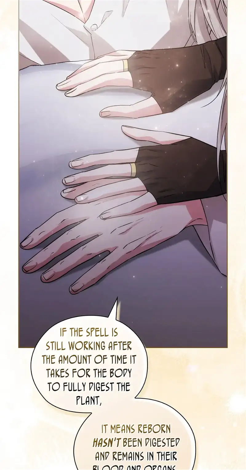 Reminiscence Adonis Chapter 251 - HolyManga.Net