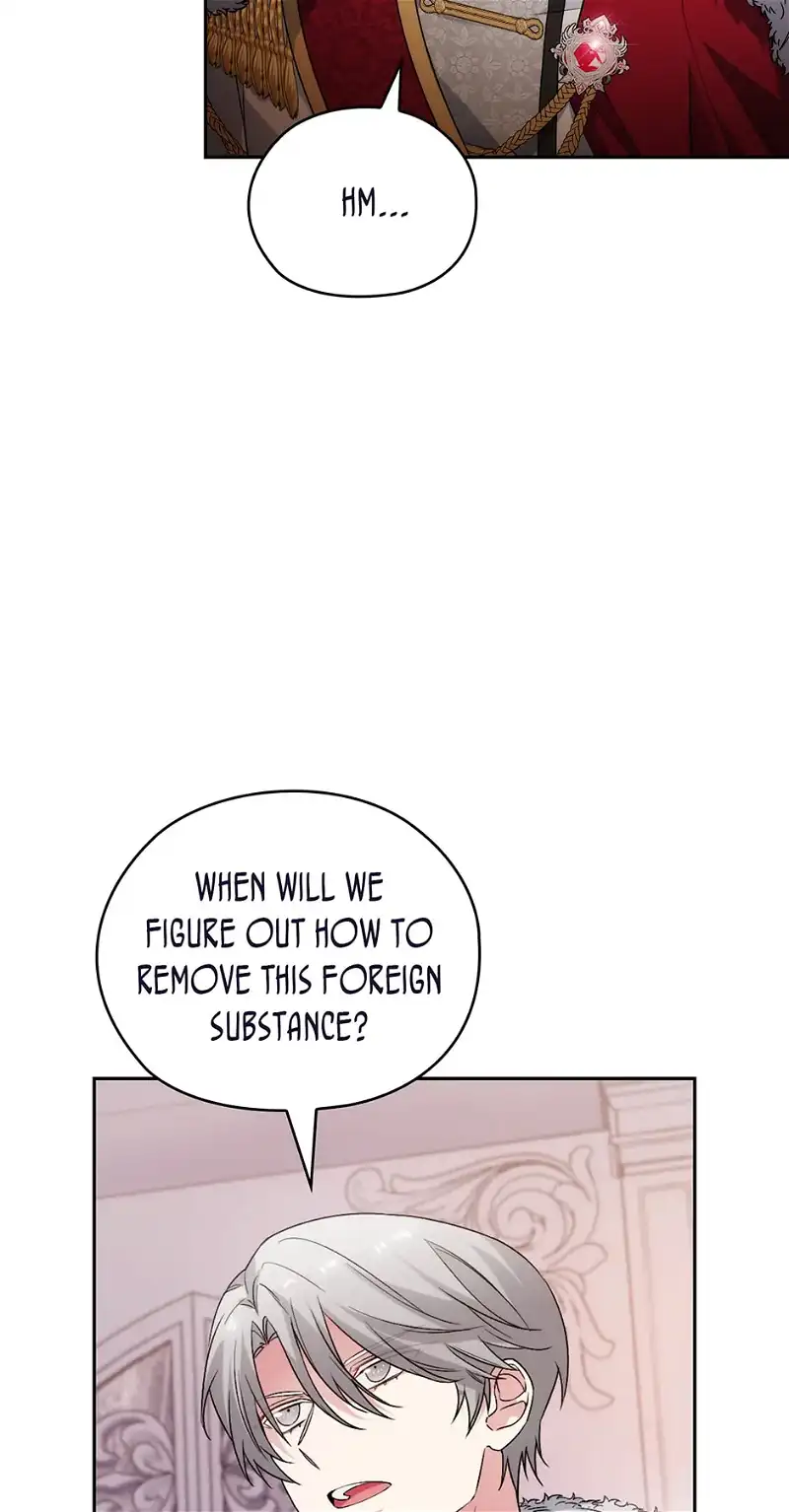 Reminiscence Adonis Chapter 254 - HolyManga.Net